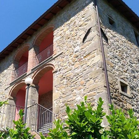 La Collina Dei Franchi Bed & Breakfast Camporgiano ภายนอก รูปภาพ