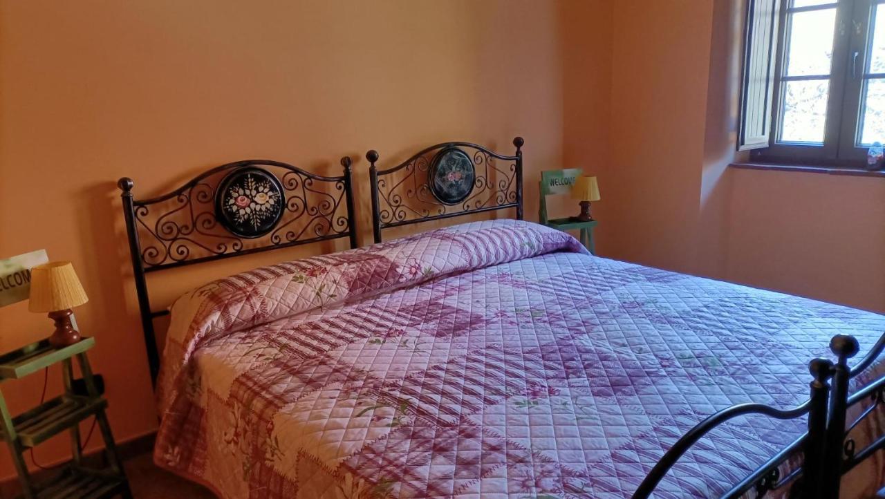 La Collina Dei Franchi Bed & Breakfast Camporgiano ภายนอก รูปภาพ